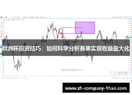 欧洲杯投资技巧:如何科学分析赛果实现收益最大化 欧洲杯投资技巧:如何科学分析赛果实现收益最大化
