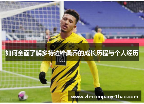 如何全面了解多特边锋桑乔的成长历程与个人经历